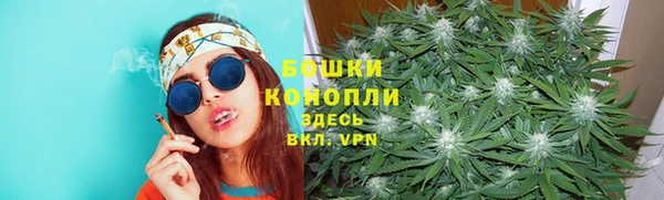 PSILOCYBIN Алексин