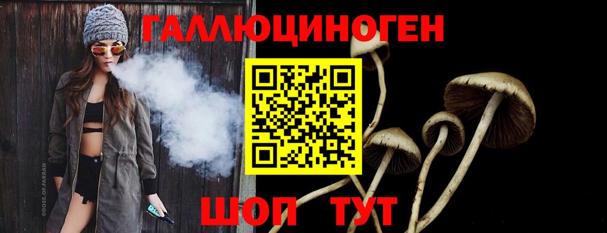 Чернушка  Псилоцибиновые грибы Psilocybine cubensis  Вход с VPN 